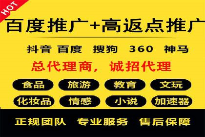 竞价端口开户后的广告投放策略案例